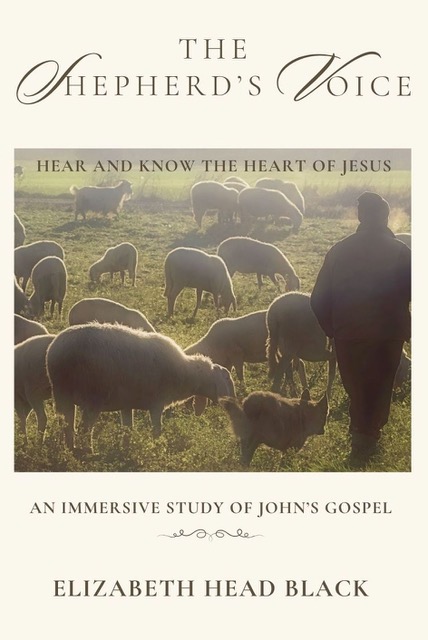 The Shepherd's Voice cover photo
